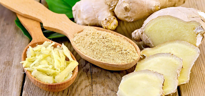 Корень имбиря – польза и вред действительно волшебного корня