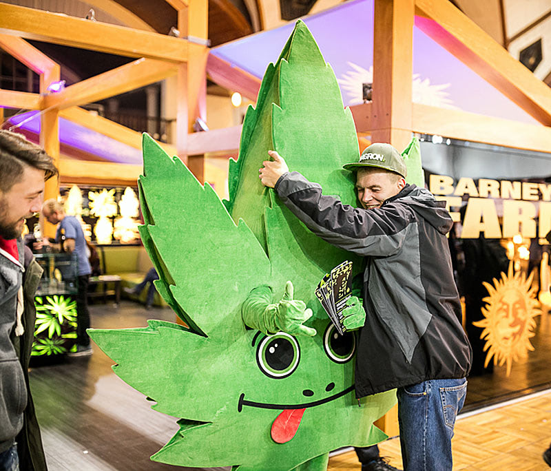 Фестиваль ноября — ярмарка марихуаны