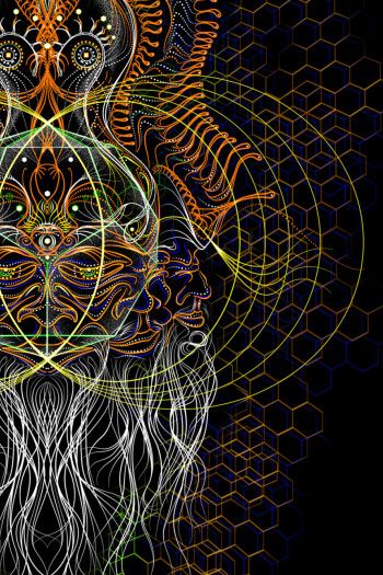 Авторская мужская футболка Brahma